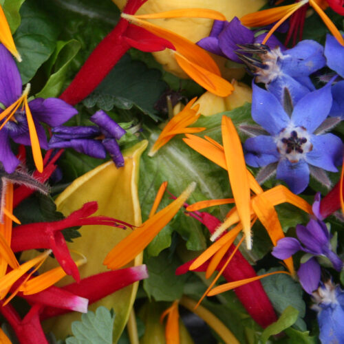 Edible flowers Edible flowers
